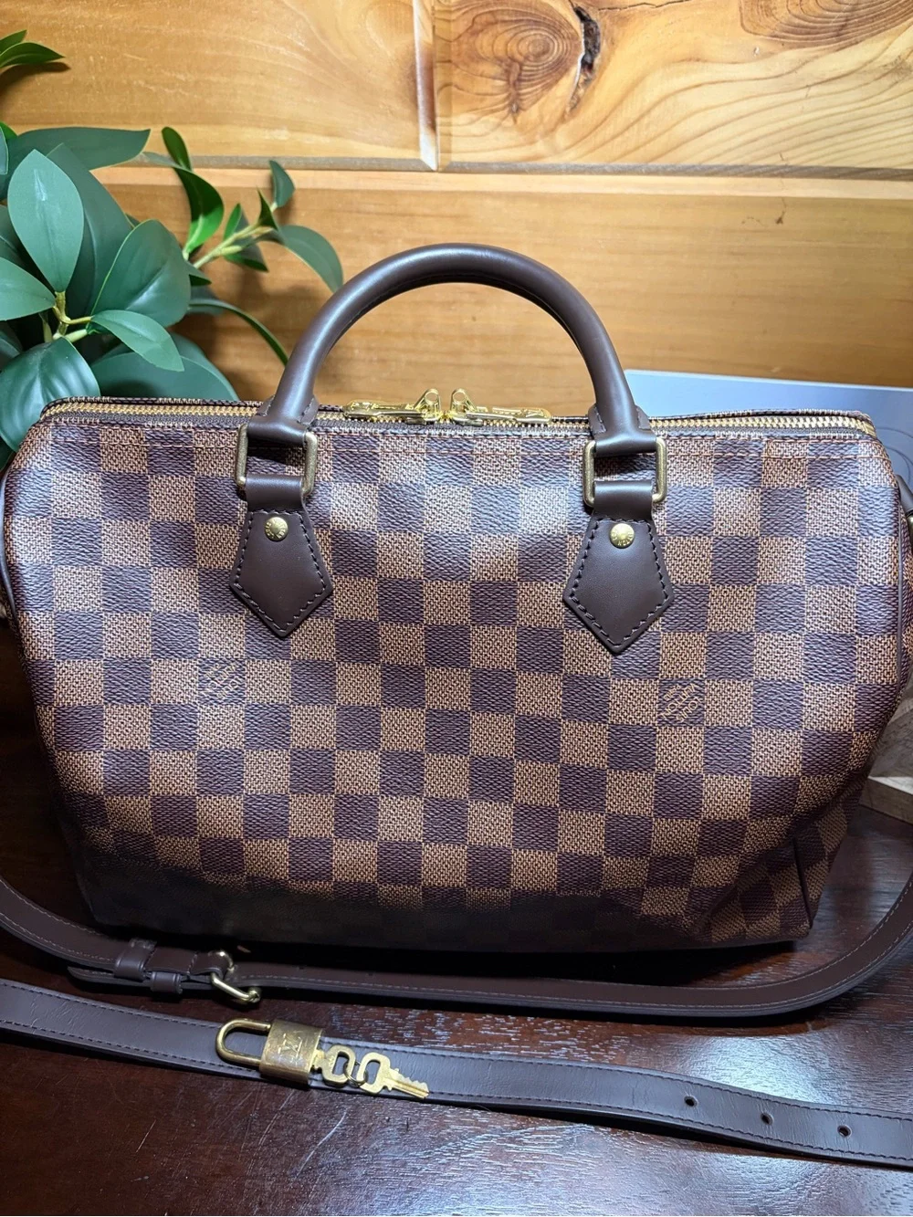 Louis Vuitton Speedy 30